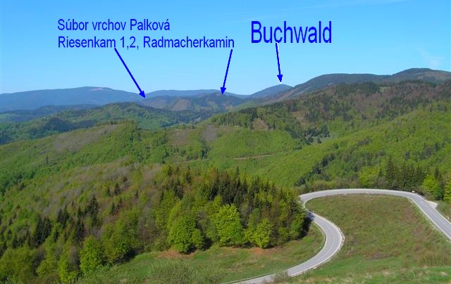Buchwald, Palková