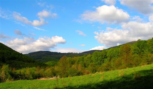 V údolí Tešnárok s pohľadom na Hirschkholung - Jeleniarku