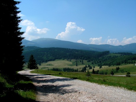 Hrebeň Nízkych Tatier z cesty smerom na Čuntavu, s dominantnou Kráľovou hoľou.
